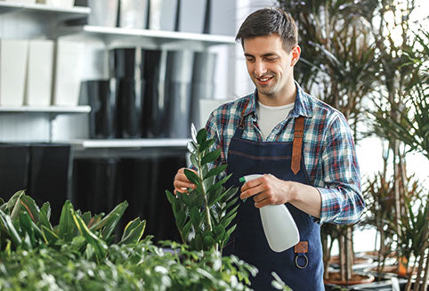 Man watering a plant