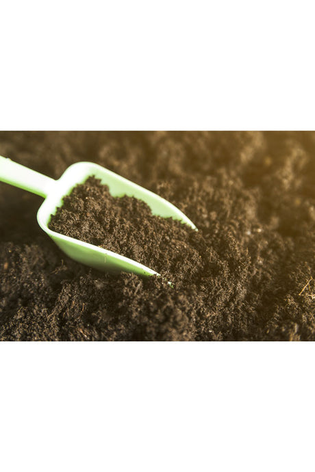 Medicated Soil – Anti-Fungal, Pest-Resistant Potting Mix for Indoor and Outdoor Plants