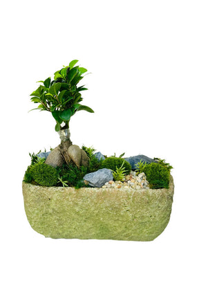 Mini Bonsai Garden Plant Dish – Elegant and Stylish Dish for Bonsai Trees and Small Plants