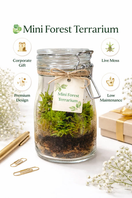 Mini Forest Terrarium in clip-top glass jar with feature icons