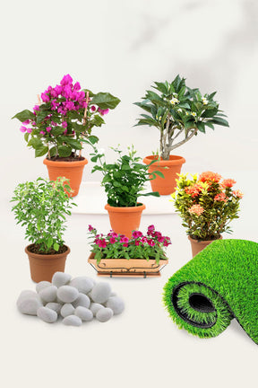 Balcony Blossom collection featuring vibrant flowering plants for balconies and outdoor decor