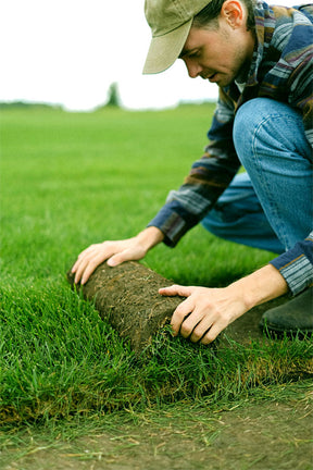 Professional team installing natural grass lawn – Lawn Installation Service by PlantsWorld.ae