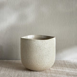 Premium White Ceramic Pot for Home & Office Plants