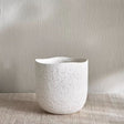 Octavia Ceramic Planter - Plantsworld.ae