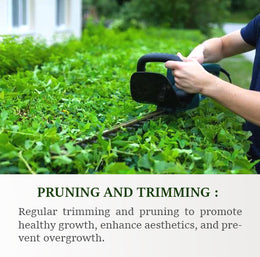 Pruning and Trimming 