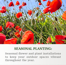 Seasonal Planting