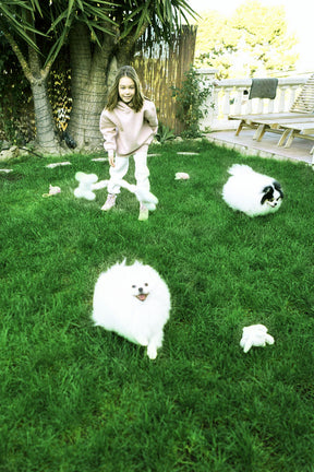 Dog using natural grass pee pad on apartment balcony – eco-friendly pet potty by PlantsWorld.ae

