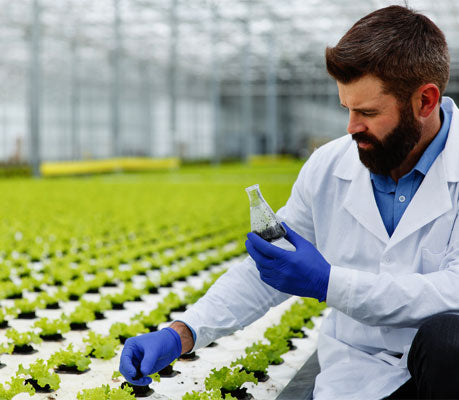 Doctor checking plants condition 
