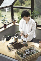 Holiday Plant Care Service - Plantsworld.ae