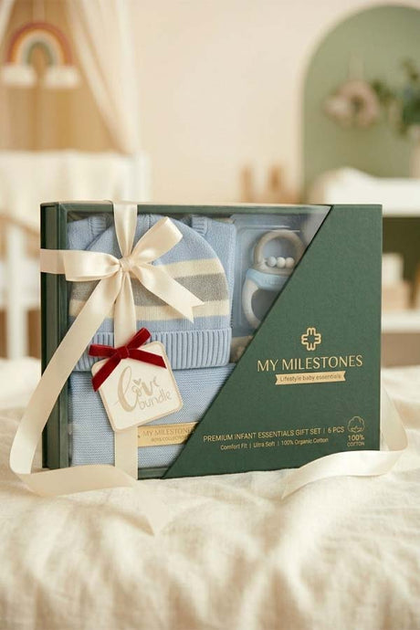 Premium Baby Essentials Gift Set for Newborn Boys - Plantsworld.ae