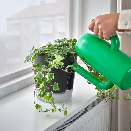 Self Watering Plant Pot - Plantsworld.ae