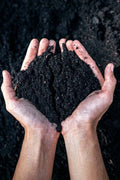 Premium Soil - Add On