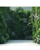 Vertical Garden