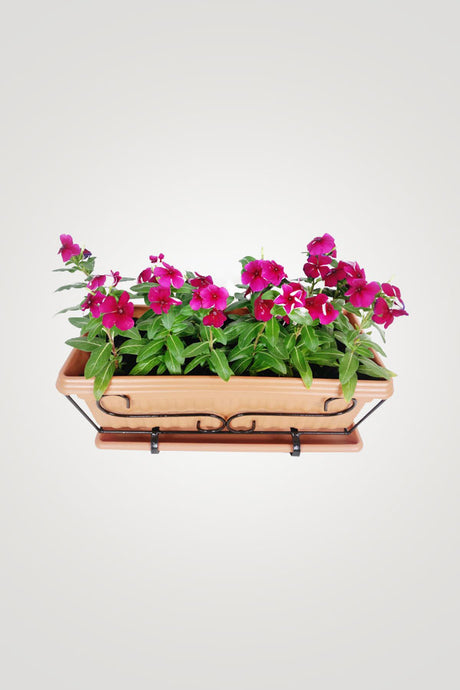 Floral Fantasy Balcony – Beautiful Flowering Plants for Balconies & Outdoor Spaces