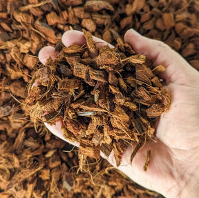 Coconut Chip for Plant Care - Improve Plant Growth and Health