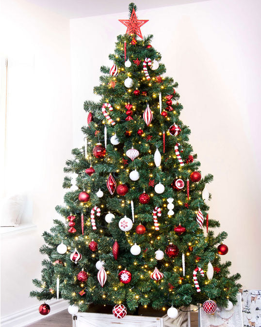 Premium Decorated Nordmann Fir Holland Indoor Tall Plant Rental ( 12-14 ft )
