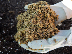 Organic Cow Dung Manure – Natural Fertilizer for Garden Plants UAE