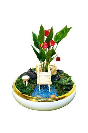 Mini Garden Plant Dish – Small Indoor Plant Arrangement for Decoration or Gifting

