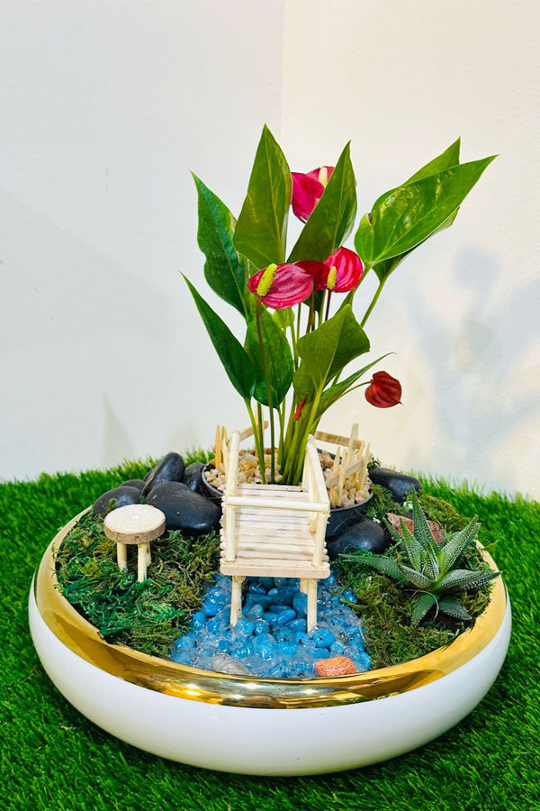 Mini Garden - Plant Dish