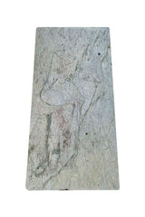 Garden Stepping Stone Rectangle Ash for Pathways & Landscaping - PlantsWorld.ae

