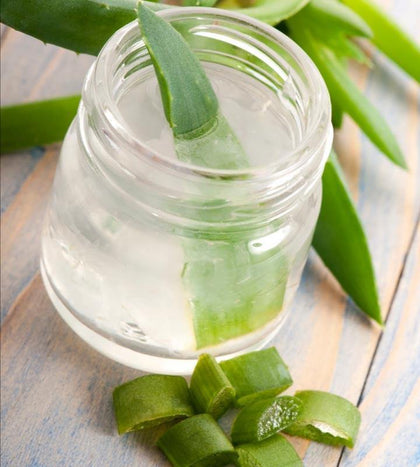Aloe Vera Gel - Aloe Vera Gel - Plantsworld.ae