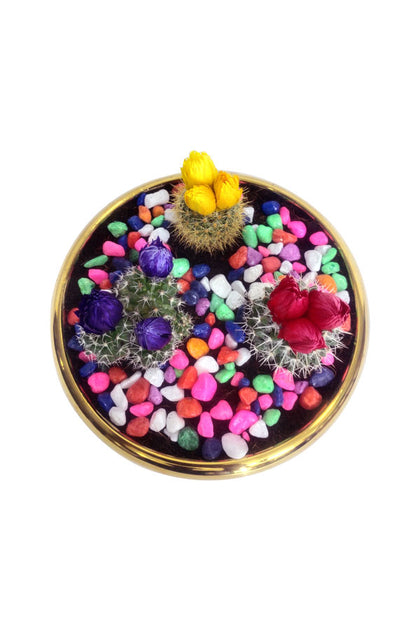 Decorative Cactus Combo In Round Vase