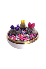 Dekorative Kaktus-Kombination in runder Vase