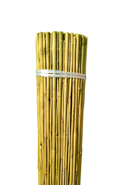 Natural Rolled Bamboo - Plant Care Fencing  (THICK)