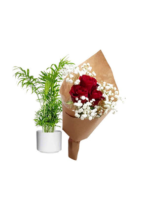 Bamboo Palm Plant with Colorful Flower Bouquet – Gift Combo UAE

