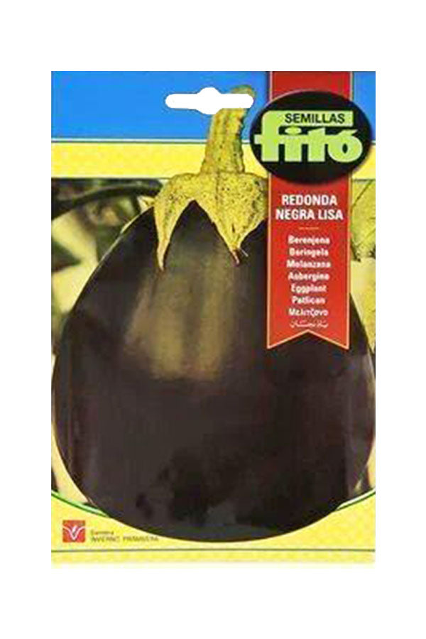 Fito-Maissalat mit großem Korn