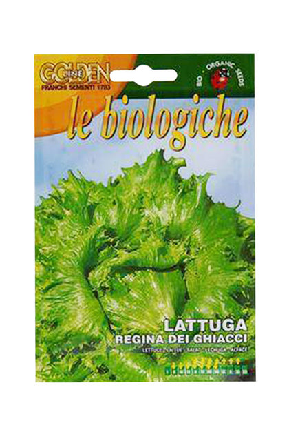 Franchi Golden Line Le Biologiche Organic Seeds (Lattuga Regina Dei Ghiacci)