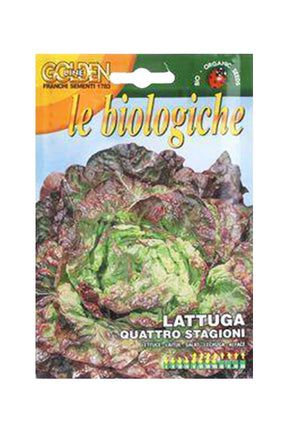 Organic Lettuce Seeds by Franchie Biologica for Home Gardening and Salad Greens