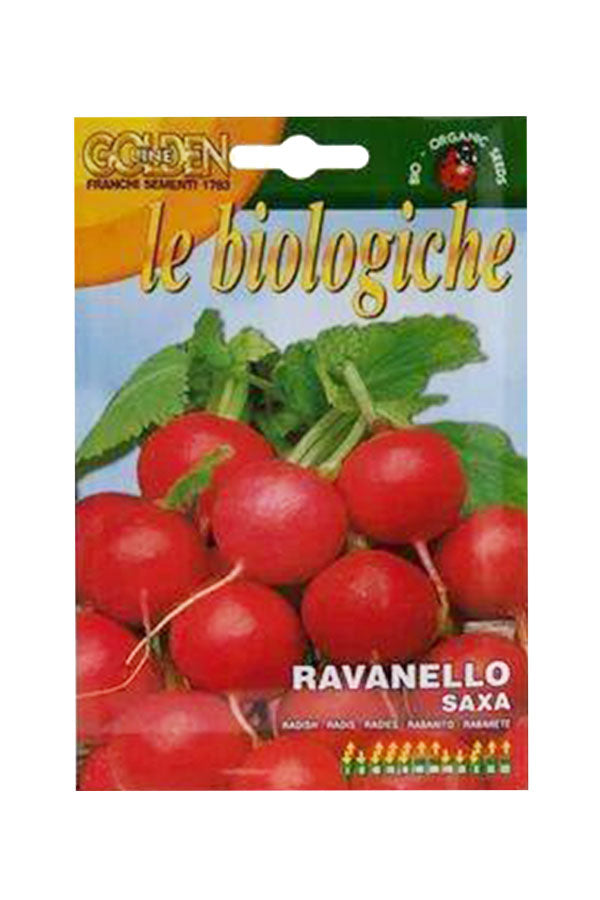 Golden Line Le Biologiche Bio-Samen (Ravanello Saxa)