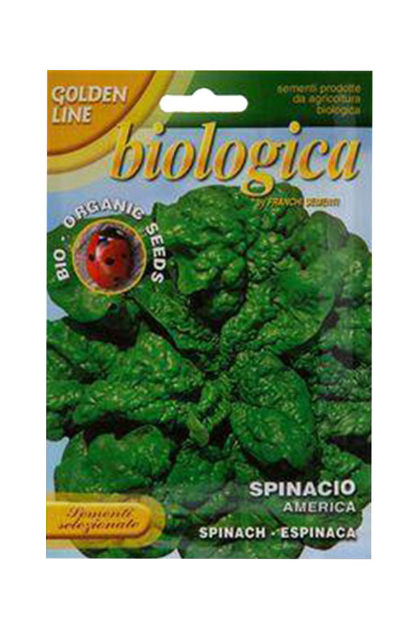 Golden Line Le Biologiche Organic Seeds (Spinacio America)