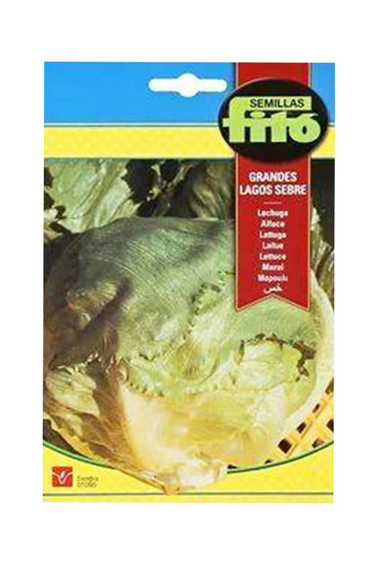Fito - Lettuce Grandes Lagos Juli