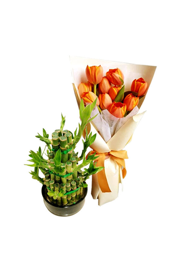Lucky Bamboo - (3 Steps) With Flower Bouquet  - Flower With Plant