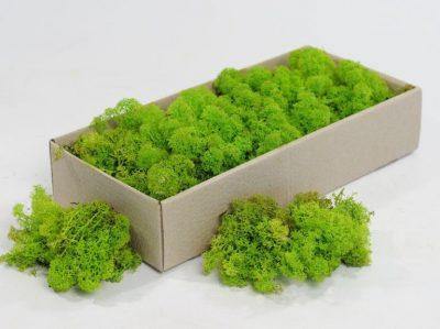 Realistic Artificial Moss Grass for Home Décor