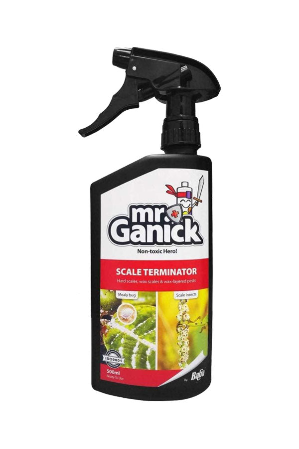 Mr Ganick Scale Terminator Bio-Pestizid (Menge 500 ml) – Pflanzenpflege