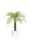 Plant Rental & Lease