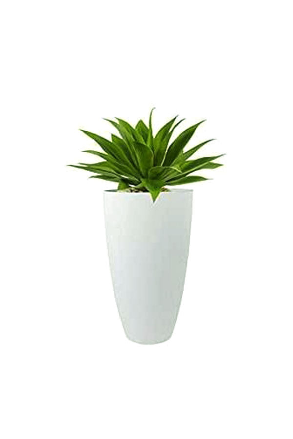 White on sale flower pot