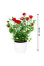 Rose - Indoor Flowering Plant - Plantsworld.ae