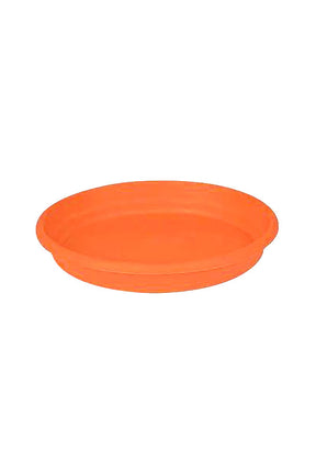 Round plastic plant plates - essential accessories for plant pots to protect surfaces and enhance plant display