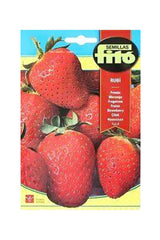 Fito - Ruby Strawberry Seeds (110 mg) - Premium Strawberry Seeds for UAE Gardens
