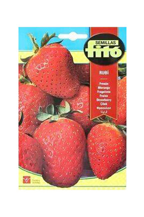 Fito - Ruby Strawberry Seeds (110 mg) - Premium Strawberry Seeds for UAE Gardens
