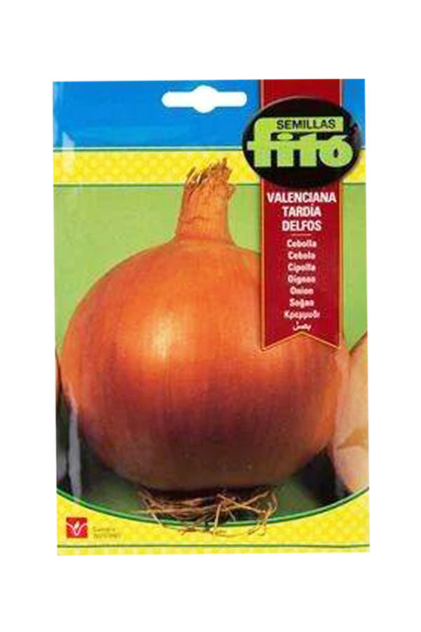 Fito - Seed Onion Delfos (7 g)