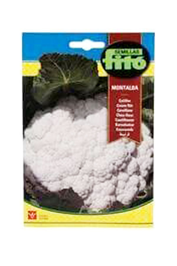 Fito - Semillas Coliflor Montalba Cauliflower Seeds for gardening available at Plantsworld.ae