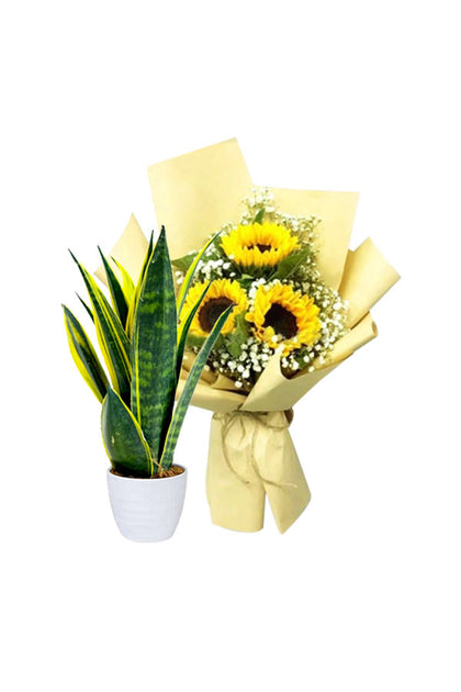 Snake Plant With Flower Bouquet - Flower With Plant
