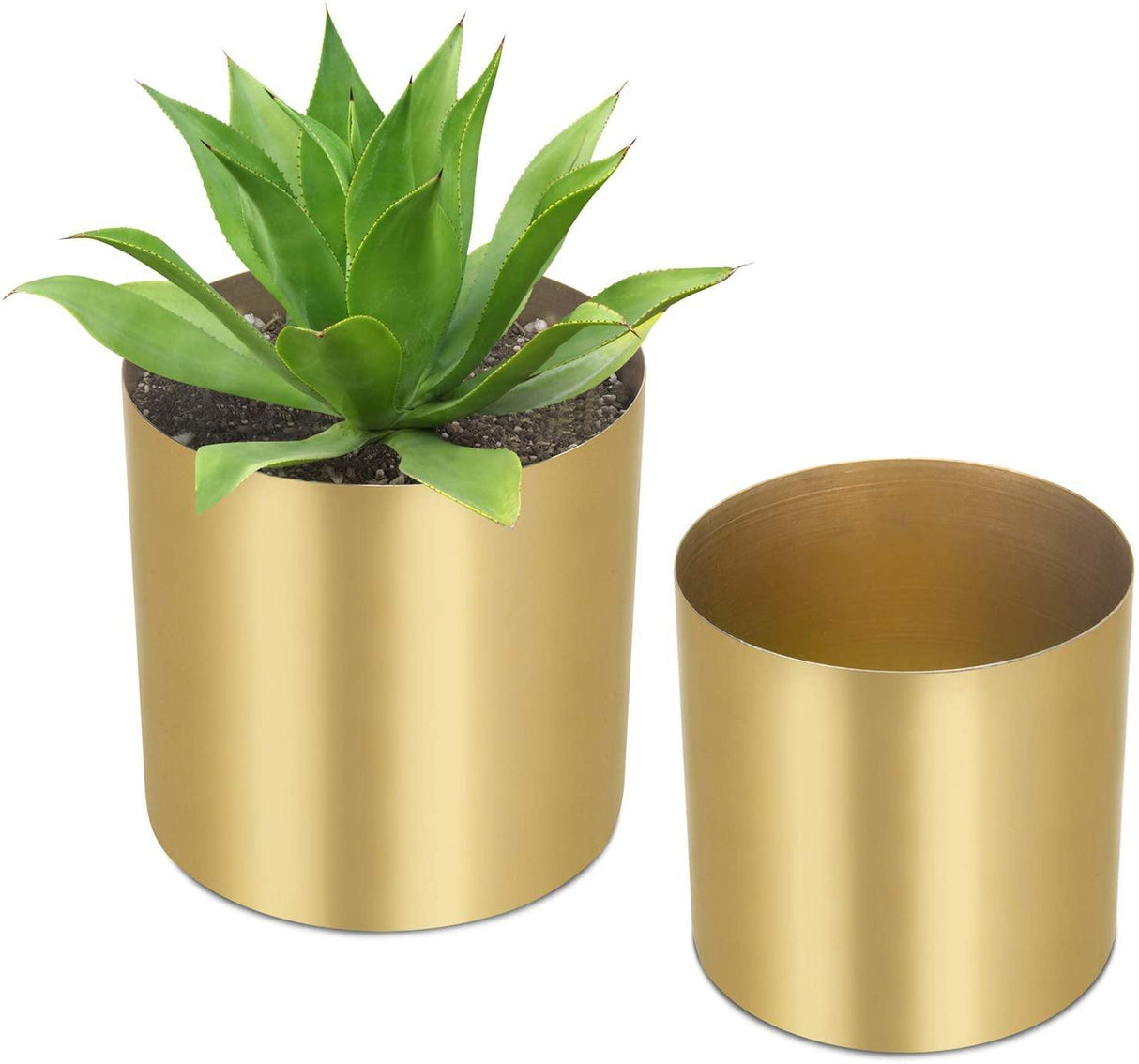 Stainless Steel circular planters with Gold finishing - Stainless Steel circular planters with Gold finishing - Plantsworld.ae