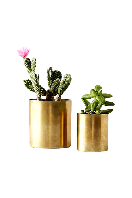 Stainless Steel Circular Planters With Gold Finishing