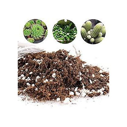 Succulent Soil Mix - Indoor Plant Soil